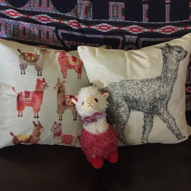 Alpaca Cushions 