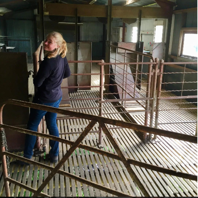 Shearing Shed at Coolaroo 